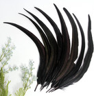 50pcs Rooster Coque Tail Feathers Bulk Natural 12-14inch 30-35cm For Crafting We