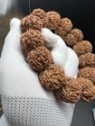 25x20mmsuperb Six Faces  Rudraksha Bracelet 25                                       
