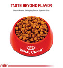 Royal Canin Breed Health Nutrition Yorkshire Terrier Adult Dry Dog Food  10 Lbs