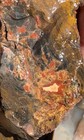       rr        6 Pcs Top Quality Arizona Rainbow Petrified Wood 3 25 Lb     