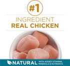 Purina One Natural Dry Cat Food  Tender Selects Blend With Real Chicken  22 Lbs