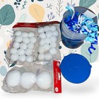 Frozen Anna   Elsa Party Favors  Supplies