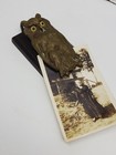 Antique Bradley And Hubbard Figural Brass Owl Paper Letter Holder Gilded Age   