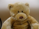 Animal Alley Tan Teddy Bear Plush 20  Large Stuffed Animal Toys R Us 2000 Vtg