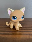 Lps No   Puzzle Shorthair Cat Blue Sportiest Eyes Littlest Pet Shop Hasbro Rare