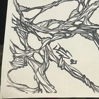 Signed Spider-man Symbiote Original Comic Art Sketch Venom Style Dated 2007