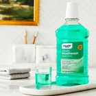 Equate Green Mint Antiseptic Mouthwash  Bad Breath   Plaque Care  1 5 L
