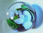 Lundberg Studios Salazar Large Lampwork Poppy Paperweight Best I ve Seen 
