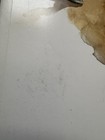 Something Rotten Musical Souvenir Program Broadway Does  did Not Come W insert
