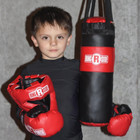 Kids Boxing Set  2-5 Year Old   Assortment With Punching Bag  Gloves  And Headge