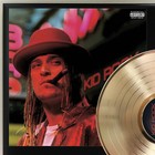 Kid Rock - Devil Without A Cause Gold Lp Record Plaque Display