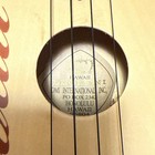 Vintage 2006 Hawaii Leolani Omi International Uke Ukulele Lei Flower 4 String
