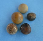 Five  5  Real Llama Bezoar Stones - 21 5 Grams - Gorgeous Set At011