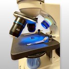 Student Microscope Set Amscope 40x-1000x Portable   Extras Excellent Condition 