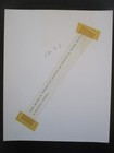 Greta Baldwin Original Vintage 1969 Project X Sci Fi Cheesecake Portrait Photo
