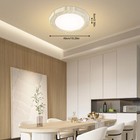 Modern Flush Mount Ceiling Light Acrylic Led Dimmable Chandelier Lamp Fixture