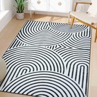  Washable Black And White Rug 5x7 Area Rugs For Living Room Non Slip  Soft 