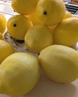 Set Of 10 Decorative Artificial Yellow Plastic Lemons Fake Fruit For Kitchen
