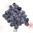 20 Pcs Artificial Blueberries Plastic Fake Fruit Plant Decor Kitchen Party