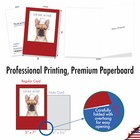 12 Merry Christmas Cards  1 Design  12 Cards  - Dogs   Doodles B6582axsg