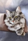 Custom Pet Portrait From Photo Painting Cat Portrait Dog Portrait
