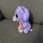  Ty Beanie Boos Cassidy Cat Plush Stuffed Animal 6  Small Mmt New