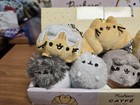 Complete Pusheen Blind Box Series 16 Catfe Plush Keychain Lot Of 8