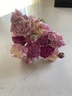 Peonies   Dried Flowers Bunch Bouquet Bundle Usa Grown Blush   Pink Peony  Auc 3