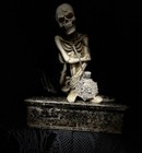 Haunted Apex Feral Shadow Spirit Demon Dybbuk Box