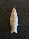 2 1 8  Stemmed Darl Arrowhead Coryell County Texas 2 500-1 300bp Authentic Point