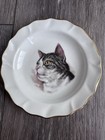 Vintage Merrie England Bone China Tabby Cat Plate Gold Trim England 6   