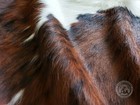 Dark Brindle Genuine Cowhide Rug - Size 5x6    - Top Quality