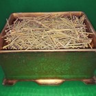 Somlata Gerardiana Whole   Organic Joint Fir   Soma   Bulk Pricing 2 Oz To 8 Lb