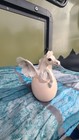 Windstone Editions White Pegasus Family Set 4 Stallion Mare Foal Hatchling Pe  a