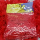 Feather Boa 6  Foot Bachelorette Party Halloween Valentines New Years Christmas