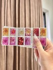 100pc Dahlias 2025  5 Books Of 20  First-class Mail Forever Postage Stamps