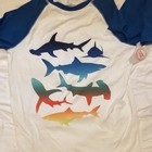 Wonder Nation Boys Long Sleeve Raglan Crew Neck Shark Graphic Tee Xxl 2xg 18