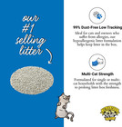 Dr  Elsey s Cat Litter - Premium Unscented Cat Litter W  Natural Ingredients - L