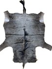 Genuine Blue Wildebeest Skin Hide - New - Optional Felt Backing  a1