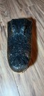 Alligator Head Taxidermy 12    Long  Mouth Open 