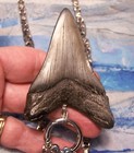 Megalodon Shark Tooth 2 15 16  Real Shark Teeth Necklace Fossil Big  viking  Gem