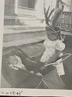 Rare Old Vintage Photo Girl With Feather Hat Baby In Stroller 1948