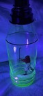 Vintage 1930 s Golf Cocktail Shaker Wheeling Decorating Uranium Glass Look Rare