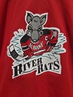 Vintage 1993 Albany River Rats Ahl Hockey Jersey