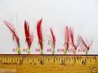 Sabiki Bait Rigs 6 Gold Hooks With Red Feather Size  2  4  6  8 10 12  14 -486