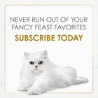 Fancy Feast Gravy Lovers Wet Cat Food Variety Pack 30 Cans Poultry Beef