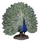 Large Gallery Quality Male Peacock With Exotic Iridescent Train Plumage Statue