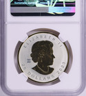 2023 Canada Silver  20 Maple Leaf Ultra High Relief Gilt Ngc Reverse Proof Pf70