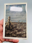 Vtg Archie Shepard Card Set  2 Sealed Prairie Kansas Greensburg Ks