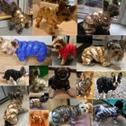 Winter Warm Pet Dog Clothes Waterproof Windproof Jumpsuit Puppy Cat Coat Apparel